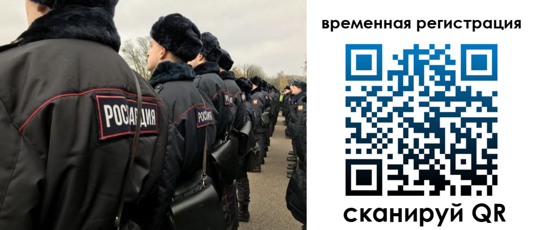 прописка гарантия в Ржеве